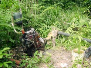 An engine and a bucket in the undergrowth