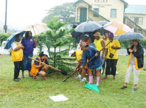 People who don’t mind getting their feet wet: Members of the D’Urban Park Lions Club braved torrential rainfall yesterday to ensure they completed their environmental project. In photo the female club members plant a tree in the small park opposite St Sidwell’s Primary School, Hadfield Street and Vlissengen Road. (Photo by Jules Gibson)