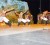The Classique Dance Company performs at the National Cultural Centre during Carifesta X (Stabroek News file photo)