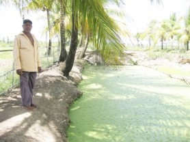 Vijainand and one of his ponds
