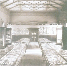 Display cabinets in the old Museum of Economic Botany