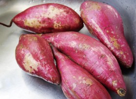 Washed and scrubbed sweet potatoes (Photo  by Cynthia Nelson)