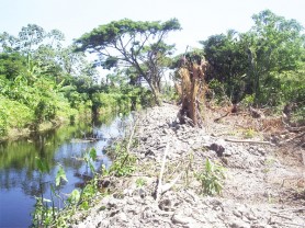 A section of the Dochfour Middle Walk Dam where some work was done.  