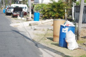 Hopeful residents of Hadfield Street put their bins out on Monday to no avail. (Photo by Jules Gibson)