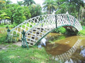 The Kissing Bridge in a section of the Botanical Gardens in Georgetown.