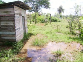 The persons who once occupied this house in the yard were forced to evacuate the property because of the extent of the flooding which makes ingress and egress impossible.