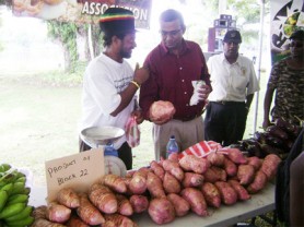 Agriculture Minister, Robert Persaud (second from left) examines sweet potatoes and eddoes from a Block 22 farmer