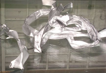 Strands of hair on a piece of duct tape which was used to gag one of the store representatives during the robbery.