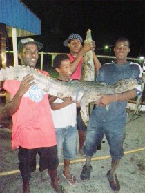 Out of south: Residents of South Ruimveldt pose with two fully grown alligators which they captured at the back of South Ruimveldt Gardens. (Photo by Joel October)