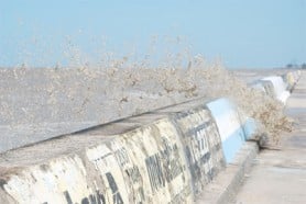 Waves clawing their way over the seawall at Turkeyen during high tide yesterday. (Photo by Jules Gibson)