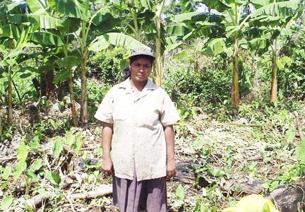 Lilawattie Persaud at the farm in Hog Island. 