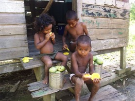 Mango time: After filling two tins with mangoes, Iona (left), Joel (centre) and Immanuel sit on the stairs of their home and eat their fill. 