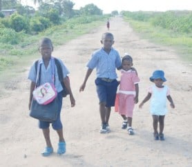 A dusty walk: Children of Barnwell North, East Bank Demerara making their way home yesterday on this dusty road.