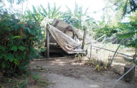 The damaged shed and fence at the zoo