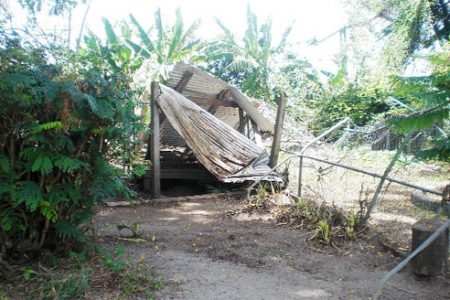 The damaged shed and fence at the zoo