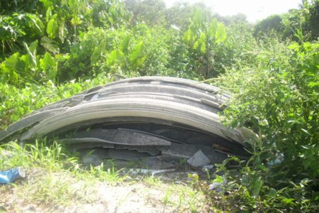 The pieces of asbestos-bearing material  lying on the road close to the  canal yesterday.