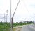 This fractured electricity pole at Good Success, East Bank Demerara posed a danger to motorists and pedestrians yesterday. (Photo by Gaulbert Sutherland)