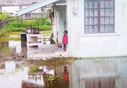 This young Grove resident looks forlornly at her flooded yard yesterday. (Photo by Mark McGowan)