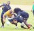 Action in the practice match yesterday between the National Sevens team and a team comprising several reserve players. (Orlando Charles photo)