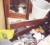 The Ganyahs’ ransacked bedroom after bandits invaded their home early yesterday morning.