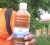 A bottle of water a Canefield resident filled from his pipe yesterday. In addition to the discolouration, the water contained a lot of sediment. 