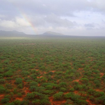 The Kasigau corridor