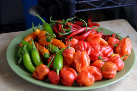 Plate of Pretty Peppers  (Photo by Cynthia Nelson)