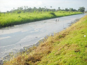 The stagnant canal from which the stench emanates.