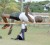Maurice Gibson flopped his way to victory at the Guyana Teachers’ Union ground yesterday in the U-18 high jump. (Orlando Charles photo)                 