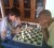 New junior chess champion Suhai Feng, left, in his final round clash against Anthony Drayton. Feng has the white pieces. (Emmerson Campbell photo)