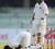 Chanderpaul kisses the ground after reaching his seventh test century against India.