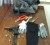 The items which the police recovered following the fatal shooting of ‘Douglah’ at Great Diamond Sea Dam, East Bank Demerara on Friday night. 