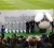 CEO of German sports manufacturer Adidas, Herbert Hainer (2nd R) and Spain’s soccer team coach Vicente del Bosque (2nd L) stand beside a giant model of the official match ball for the upcoming Euro 2012 soccer tournament during a ceremony at the Olympic stadium in Kiev yesterday.. Credit: Reuters/Kai Pfaffenbach