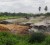 The site that is being used to dispose the paddy waste in Strathavon (GINA photo)