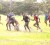 ON THE ATTACK! Players from the national rugby team going through a high intensity practice session at the National Park, Saturday afternoon despite the soggy conditions. (Orlando Charles photo)