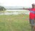 Mahaicony Creek resident Bholonauth Deolall points to his 20 acres of rice plants which were destroyed by floodwater yesterday. 
