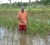 The distressed Sanjeev Basdeow standing in his ochro farm that was destroyed by the flood