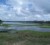  Bolanauth Deolall’s rice field under water 