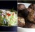 Weekday Sauteed Cabbage. Weekend Masala  Meatballs (Photos by Cynthia Nelson)