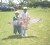 Hawk-eyed: These two children were delighted to pose with their hawk kite made of plastic in the National Park yesterday.