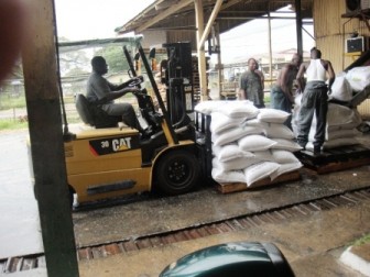 Sugar being transported in this manner at the Enmore estate because a conveyor belt is not working
