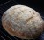 Artisan No-Knead Bread (Photo by Cynthia Nelson)