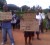 Against dissolving NDC: Kwakwani residents making their feelings known yesterday.