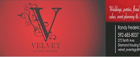 Velvet’s logo