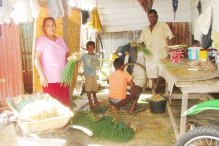 The Bharat family preparing shallot for the market
