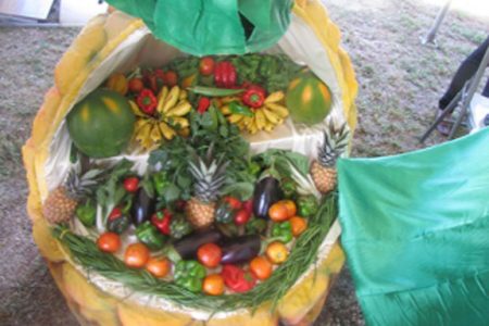 A display of Guyana’s fruits and vegetables at Wednesday’s open day. (GINA photo)
