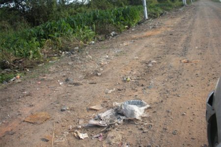 Remnants of garbage that once covered the undeveloped Lusignan South access road
