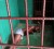 Akeem Charles lying on the bare concrete floor in a holding cell at Camp Ayanganna. Charles, who turned himself into the army after going AWOL, has reportedly been kept in inhumane conditions for more than a month.
