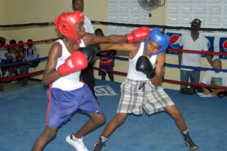 Shaka Moore of the Essequibo Boxing Gym (left) throws a jab during action in his three-nil victory over FYF’s, Junior Henry, in their highly entertaining bout yesterday at the Andrew ‘Sixhead’ Lewis Gym. (Orlando Charles photo)
