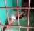 Akeem Charles on the bare concrete floor of his holding cell at Camp Ayanganna. In the photo, Charles appeared to have a swollen right eye. (Stabroek News file photo)